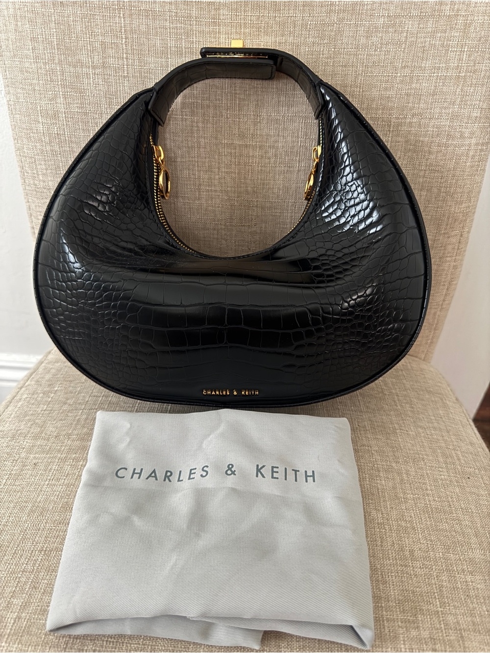 Charles & Keith croc bag